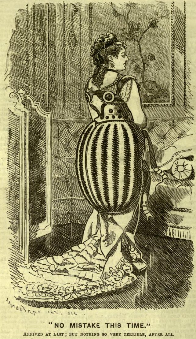Beetle Dress_Punch 29 September 1877
