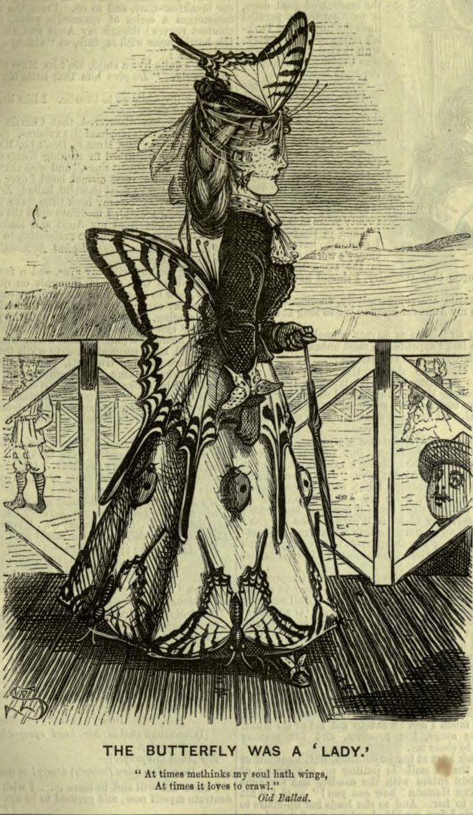 Butterfly Dress_Punch 17 June 1871